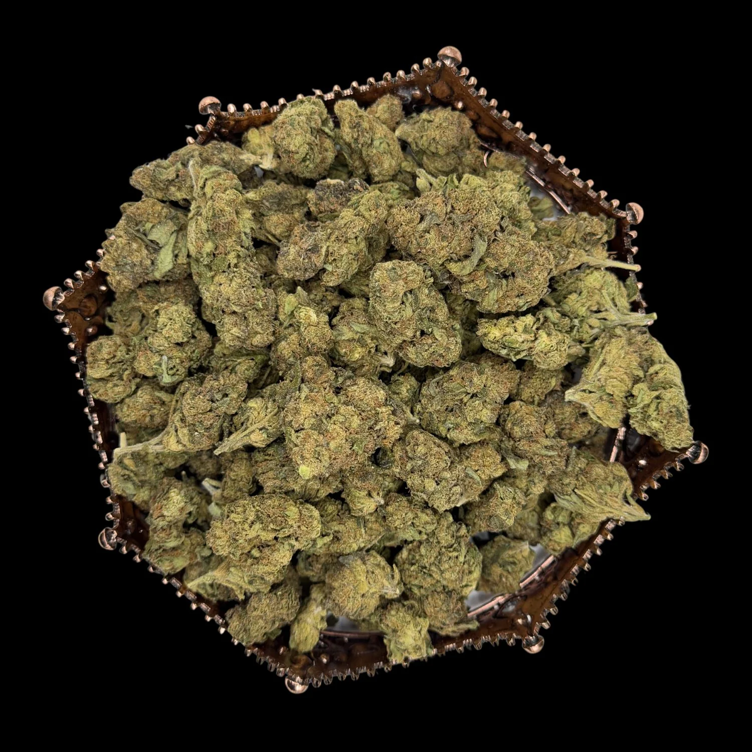 The Dank Carnival 🎪